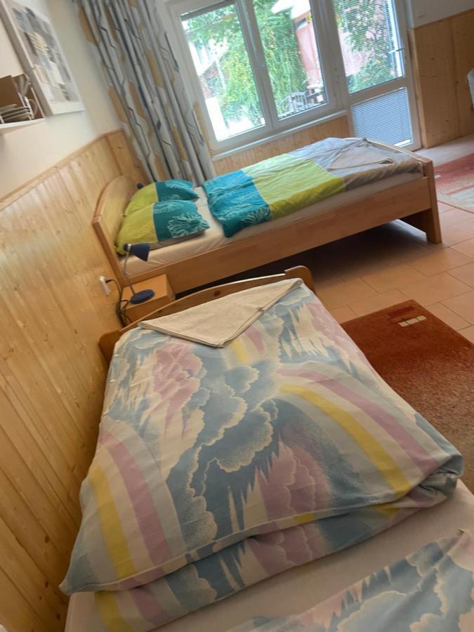 Penzion Fontana Hotel Náměšť nad Oslavou Buitenkant foto